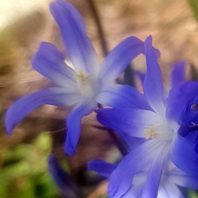 Raus in den Frühling – Körper und Seele im Einklang