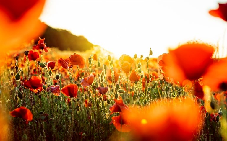 Sonne auf der Haut – Energie tanken in wenigen Minuten