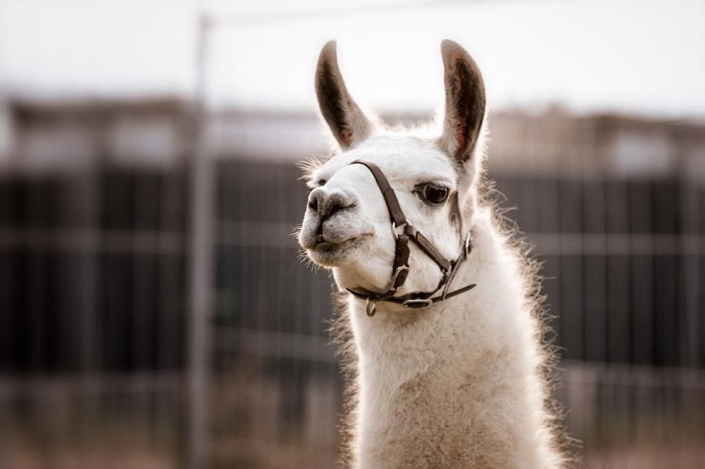 Achtsamkeit zum Feierabend